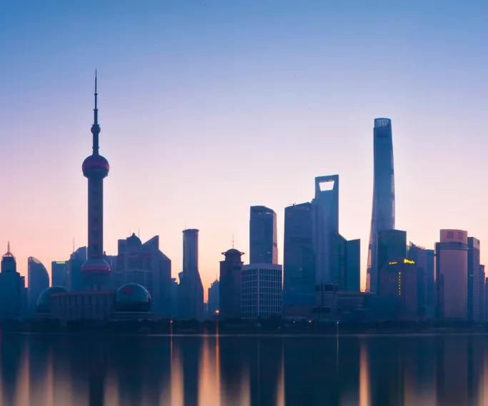 Expansion into China Consultant Business